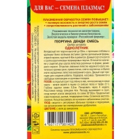 Семена Георгина "Денди", 0,1 г