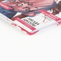 Дневник школьный 5-11 класс, в твердой обложке, 48 л. &laquo;Стиль&raquo;