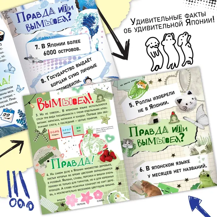 Книга &laquo;Правда или ложь. 24 факта о Японии&raquo;, А5, Аниме