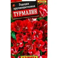 Семена цветов Годеция Турмалин , Ц/П,0,1 г