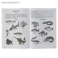 Рабочая тетрадь для детей 5-6 лет &laquo;Знакомимся с окружающим миром&raquo;, Бортникова Е.