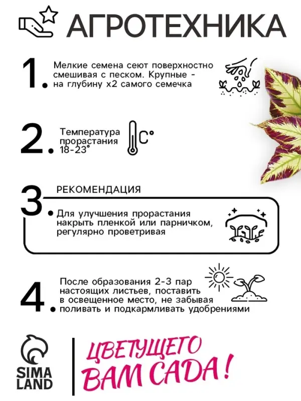 Семена цветов Колеус Визард Мозаик, 10шт