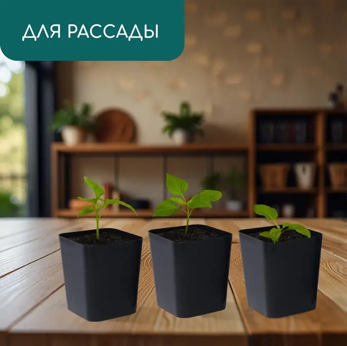 Горшок для рассады, 300 мл, d=7.5 см, h=7.5 см, пластик, чёрный, Greengo