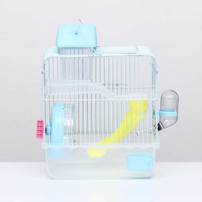 Клетка для грызунов "Пижон", 23 х 17 х 33 см, прозрачная, голубое наполнение