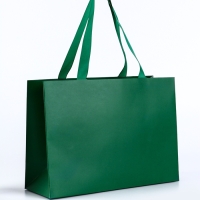 Пакет подарочный &laquo;Изумрудный&raquo;, 28&times;20&times;10 см