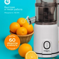 Соковыжималка шнековая SC-JE50S63