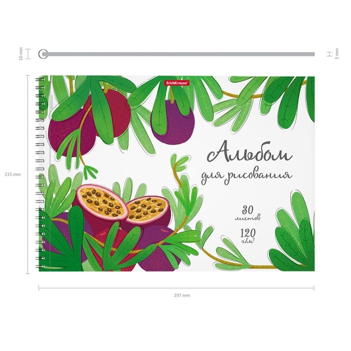 Альбом для рисования А4, 30 листов на спирали, ErichKrause Juicy Fruits, блок 120 г/м&sup2;, 100% белизна, перфорация для отрыва, твёрдая подложка