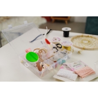 Органайзер для рукоделия, со съёмными ячейками, 20 отделений, 22,5 &times; 18 &times; 4 см, цвет прозрачный