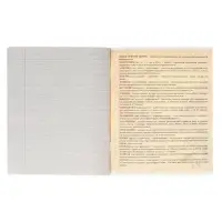 Тетрадь предметная 48 листов в линейку Calligrata, &laquo;Металл. Литература&raquo;, обложка мелованный картон, серые листы