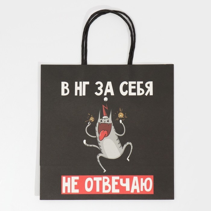 Пакет подарочный новогодний &laquo;Вообще не отвечаю&raquo;, 22 х 22 х 11 см