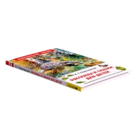 Книга &laquo;Рассказы и сказки для детей&raquo;, Паустовский К.Г., внеклассное чтение