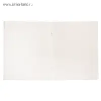 Тетрадь 48 листов в линейку Calligrata &laquo;Орнамент&raquo;, обложка мелованный картон, блок №2, белизна 75% (серые листы), МИКС