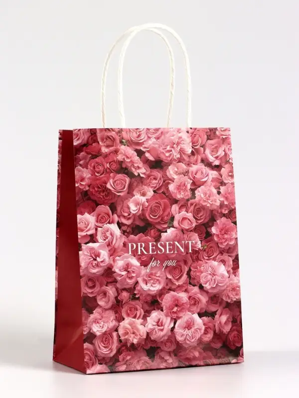 Пакет подарочный крафт Present, 15&times;8&times;21 см