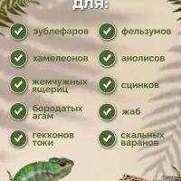 Корм для зублефаров,других насекомоядных рептилий и амфибий (желируемый) 50 г