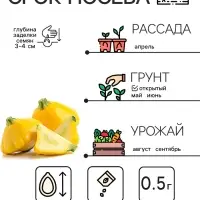 Семена Патиссон "Солнышко", 0,5 г