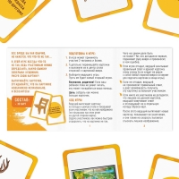 Настольная игра &laquo;Найди ошибку&raquo;, 30 карт, 3+