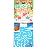 Книга "Многоразовые лабиринты", с маркером