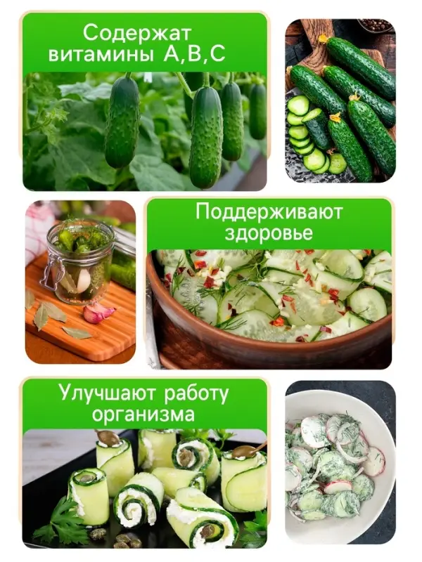 Семена Огурец "Китайский Длинноплетистый", 10 шт