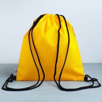 Мешок для обуви &laquo;Забавный корги&raquo; 2 секции, 30&times;40 см