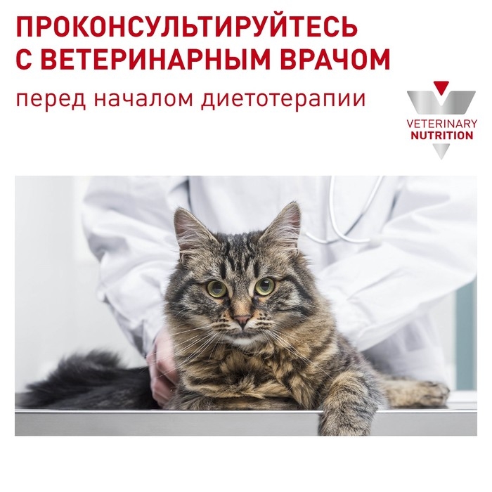 Сухой корм RC Neutered Satiety Balance для кошек, 300 г