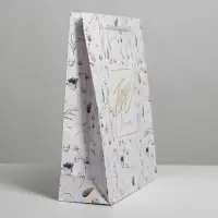 Пакет подарочный ламинированный, упаковка, Gift for you, ML 21 х 25 х 8 см