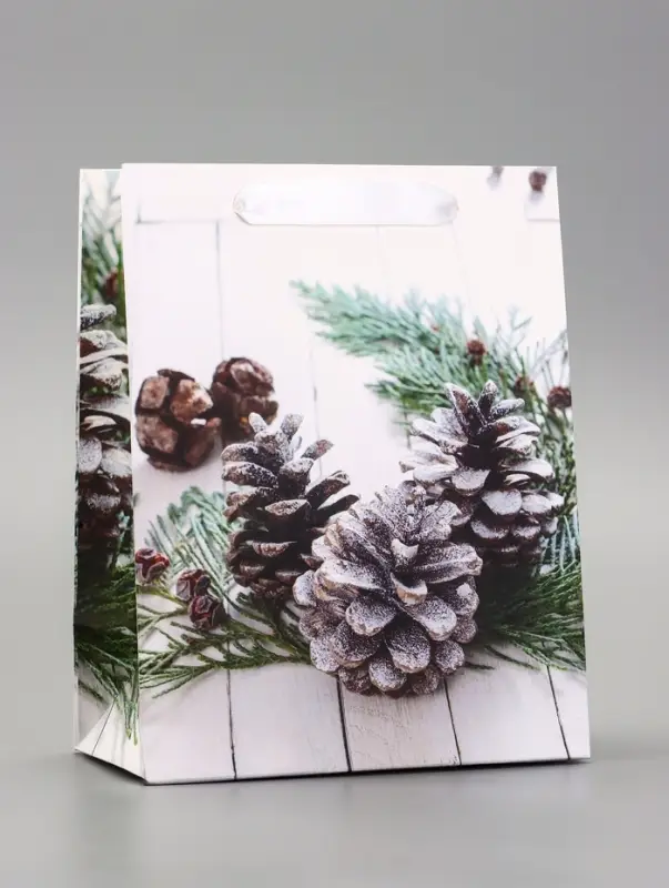 Пакет подарочный ламинированный "Зимняя пора" 18 х 23 х 10 см