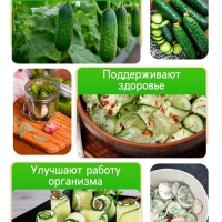 Семена Огурец "Теща" F1, корнишон, скороспелый, партенокарпический, 10 шт.