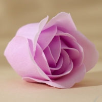 Мыло лепестковое &laquo;С 8 Марта!&raquo;, 16 шт, аромат цветочный, ЧИСТОЕ СЧАСТЬЕ