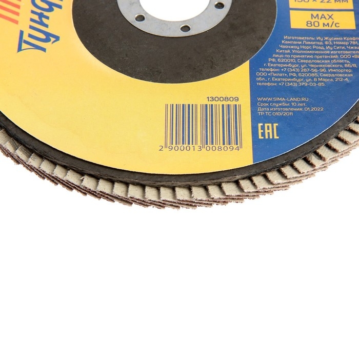 Круг лепестковый торцевой ТУНДРА, 150 х 22 мм, Р60