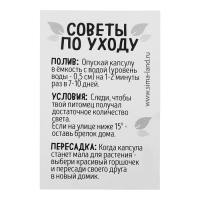 Набор для опытов &laquo;Живой брелок&raquo;, мини-сад, вырасти сам