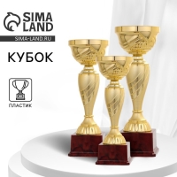 Кубок 120С, наградная фигура, золото, подставка пластик, 29,5 &times; 10 &times; 9,5 см