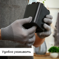 Набор для рассады: стаканы по 500 мл (10 шт.), поддон 40 &times; 19,5 см, МИКС, Greengo