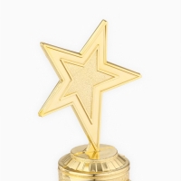 Кубок наградная фигура: звезда литая учителю &laquo;Золотой учитель&raquo; золото, пластик, 16 х 8,5 х 6 см