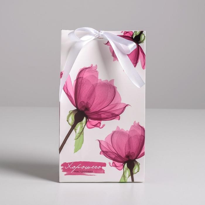 Пакет подарочный с лентой, упаковка, &laquo;Хорошего настроения&raquo;, 13 х 23 х 7 см