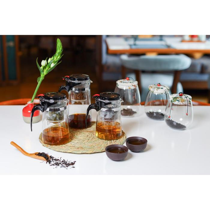 Чайник стеклянный заварочный Magistro &laquo;Мантана&raquo;, 900 мл, с пластиковым ситом