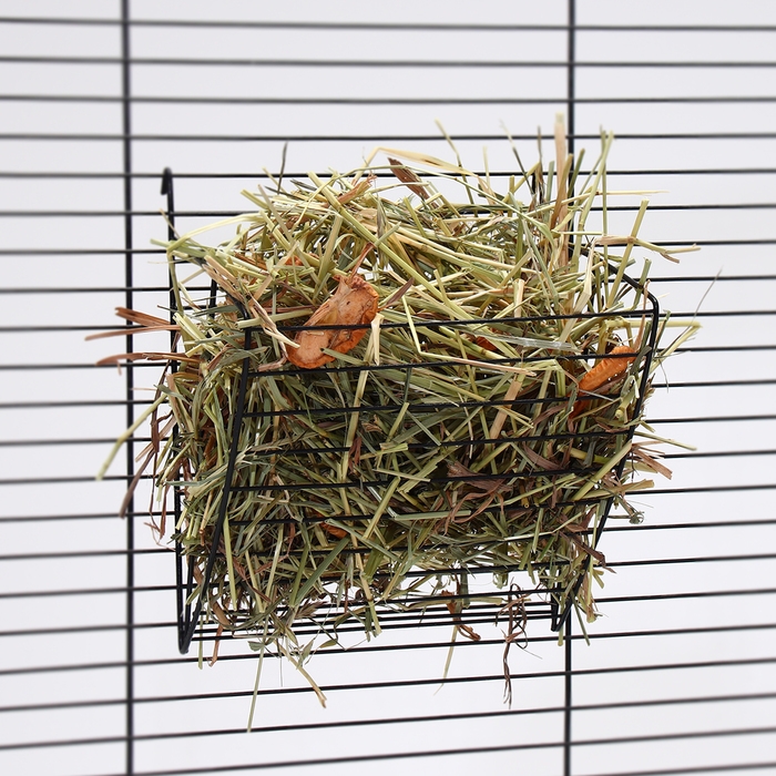 Сено луговое с фруктами &laquo;Пижон&raquo; для грызунов, 20 л, 500 г