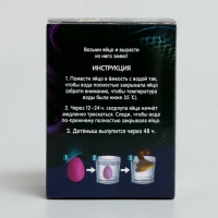 Набор для творчества. Вырасти своего питомца &laquo;Змея&raquo;