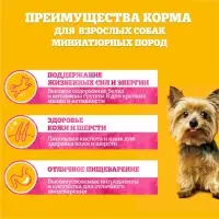 Влажный корм Pedigree для собак мелких пород , паштет говядина, пауч, 80 г