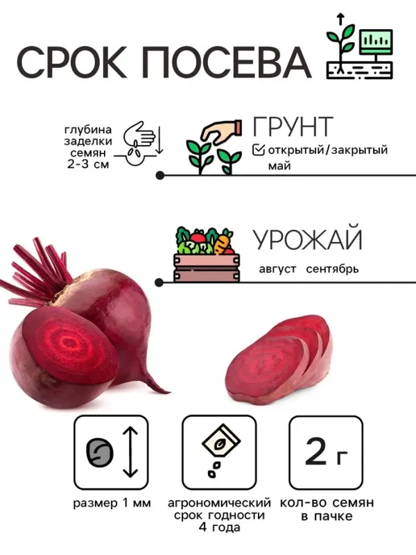 Семена Свёкла "Мулатка", 2 г