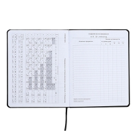 Дневник универсальный для 1-11 класса Anime Comix, интегральная обложка, искусственная кожа, шелкография, ляссе, 80 г/м2