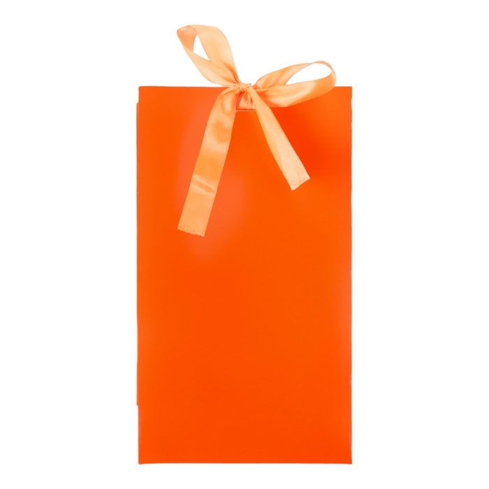 Пакет подарочный с лентой &laquo;Красный&raquo; 13 х 23 х 7 см, 1 шт.