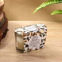 Набор свечей "BALLY BAND" 60 гр, цитронелла+лемонграсс