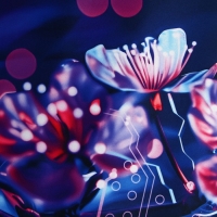 Коврик для компьютерной мыши &laquo;Виртуальный мир&raquo;, 30 х 80 см