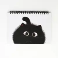 Скетчбук в твердой обложке на гребне А5 80 л 100 г/м "Котик"