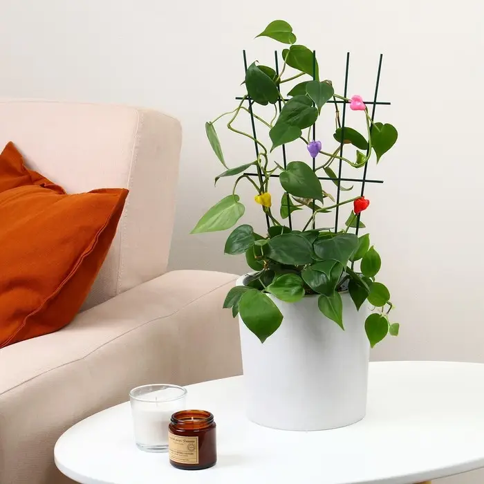 Клипса для растений &laquo;Клубника&raquo;, набор 10 шт., МИКС, Greengo