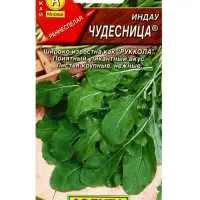 Семена Индау (руккола) Чудесница , Ц/П,0,3 г