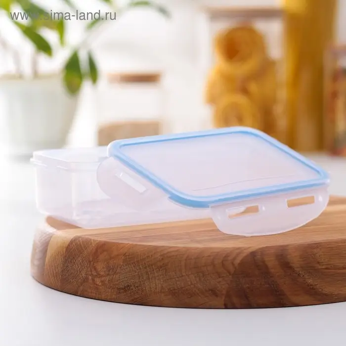 Контейнер пищевой Good & Good, 500 мл с герметичной крышкой