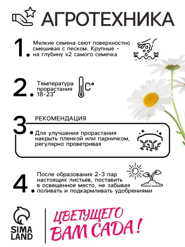 Семена цветов Ромашки "Аляска", 0,3 г