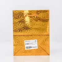 Пакет подарочный, фольгированный, &laquo;Золото&raquo; 14&times;11&times;5 см.