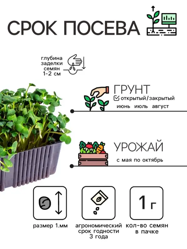 Семена Кресс-салат "Весенний", 1 г